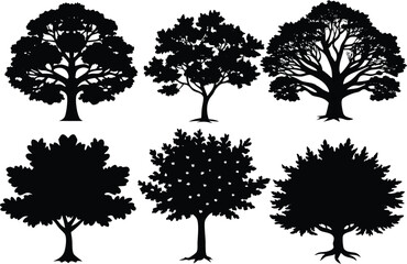 Set of different types Oak tree icon isolated on white background.