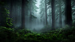 © kwangze - A serene forest scene enveloped in mist, showcasing tall trees and lush greenery. The tranquil atmosphere invites exploration and reflection.