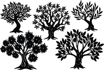 Wall Mural - Olive tree silhouette icon collection, isolated on white background.