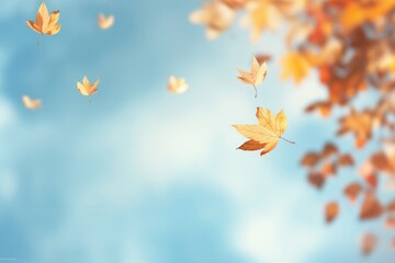 Wall Mural - autumn leaves floating in sky