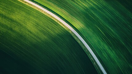 Wall Mural - Rural road through farmland, no cars visible, aerial perspective with ample copy space.