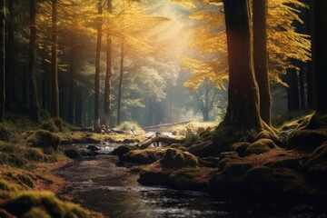 Wall Mural - Woodland nature landscape sunlight.