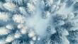 © ALIS ST - Aerial shot of a snowy forest in winter, with space for copy in the clear sky.