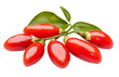 © MDShah - Goji berry or wolfberry isolated transparent and ripe tropical natural fruit concept on white background. png