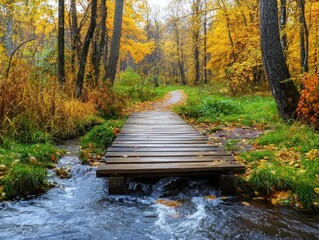 Poster - Wooden Bridge Over Stream in Autumn Forest