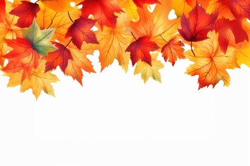 Wall Mural - fall leaves backgrounds maple plant.