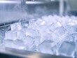 © Ponchita - Freshly Made Ice Cubes in a Commercial Ice Maker, a Glimpse into the Production Process