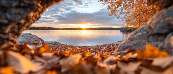 Wall Mural -  Through a tree's hollowed bark, behold a lake view as sun sets behind