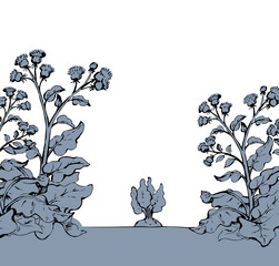 Canvas Print - Weeds in the garden. Vector drawing