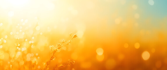 Wall Mural - a hot summer sky background with warm golden orange and yellow blurred field, foliage