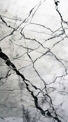 Wall Mural - Grey tone wallpaper marble architecture backgrounds monochrome.