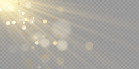 Poster - Vector transparent sunlight special lens flare light effect. PNG. Vector illustration