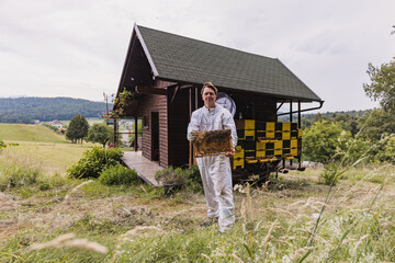 Wall Mural - Beekeeper working collect honey at beehive and checking honeycomb with bees flying around