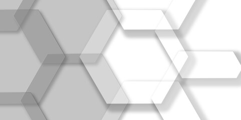 Wall Mural - Luxury white and grey hexagonal abstract background with shadow. Geometric 3d texture illustration. Abstract hexagonal concept technology, banner and wallpaper background. 