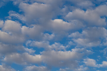 Beautiful blue sky with white Altocumulus undulatus clouds.