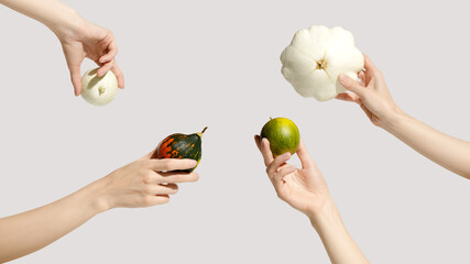 Young female hands holding decorative pumpkin and pattypan squash on pink background