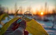 © Animager - Capturing Summer's Essence: People Holding a Magnifying Glass to Explore Nature as They Create Colorful Soap Bubbles Against a Bright Sky, Each Bubble Reflecting Shades of Green and the Joy of the Sea