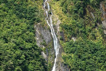 The small cascade flowing from the top of glacier mountain along the temperate rain forest, Fox Glacier, South Island, New Zealand.