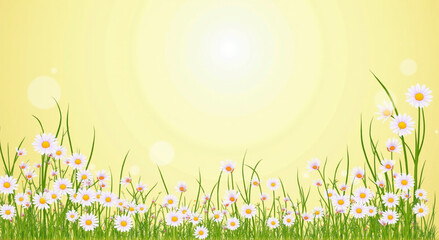 Poster - spring background with grass