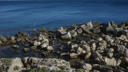 Seaside view of rocky shore with concrete blocks in gallipoli, puglia, salento, italy, showcasing a tranquil coastal scene with birds and clear blue water.