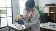 © Krakenimages.com - A young hispanic woman veterinarian examines a chihuahua dog in an indoor clinic setting, wearing gloves and a stethoscope, showing the care and professionalism in a veterinary hospital.