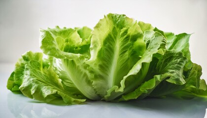 fresh lettuce on a white background 2