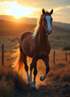 © AthenaGrafix - a purebred brown horse equine running outdoors at sunset, vertical