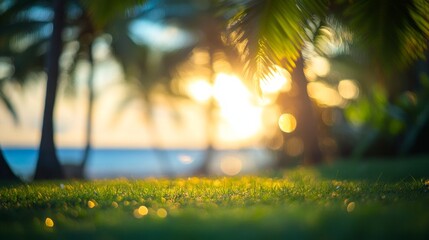 Sunset in a verdant park near the shore with coconut trees captured in a blurry bokeh