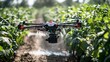 © Jakkarin - Precision Irrigation System Watering Crops with Efficiency