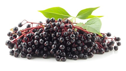 bunches of elderberries isolated on a white background