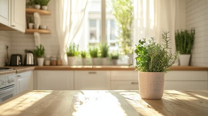 Poster - Potted herbs on a kitchen counter with sunlight streaming through the window.