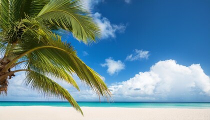 Wall Mural - palm tree on tropical beach with blue sky and white clouds abstract background