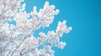 Canvas Print - Snow-covered branches against a bright blue sky, creating a beautiful winter scene.