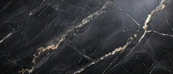 Black Marble Texture with Golden Veins