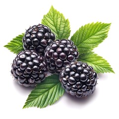 Canvas Print - Fresh blackberries with vibrant green leaves isolated on a white background, showcasing natural gloss and ripeness 