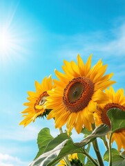 Fototapete - Bright sunflowers stretch towards the sun, enjoying its warmth under a vivid blue sky with fluffy clouds. Generative AI