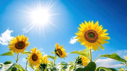 Aufkleber - Bright sunflowers stand tall and vibrant, enjoying the warm sunlight and clear blue sky on a splendid day outdoors. Generative AI