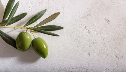 Wall Mural -  A close-up of an olive branch with two olives, placed horizontally on a white textured backg