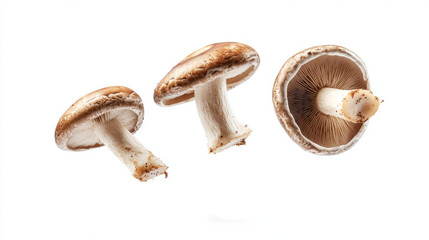 Fresh shiitake mushrooms are suspended in mid-air against a white background, showcasing their unique shape and texture. This dynamic image highlights the mushrooms' freshness and culinary appeal.



