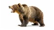 © CrazyJuke - A powerful image of a grizzly bear embodies raw strength and grace, set against a simple, elegant backdrop.