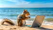 © suwatthana - Squirrel working on laptop at the beach, squirrel, laptop, beach, technology, working, wireless, internet, fun