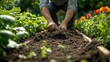 © TranNgoc - A gardener working in a raised garden bed, loosening the soil with a hand tool, the rich earth ready for planting, with sunlight illuminating the surrounding green plants and colorful flowers.