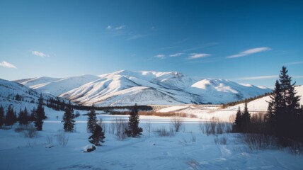 Vast snowy mountain landscape under a crisp, clear blue sky on a bright winter day