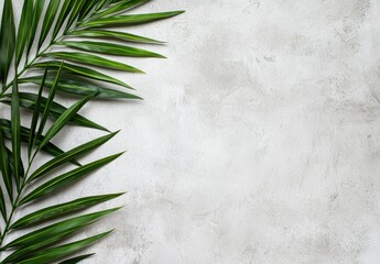 Poster - tropical palm leaves on concrete background