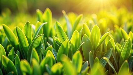 Extreme close-up of fresh greenery in the spring, perfect for eco-friendly designs