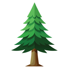 Pine tree vector on white background.