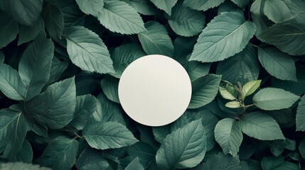 Wall Mural - A white circle on a background of green leaves.