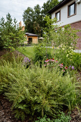 A stunning lush green garden landscape adorned with vibrant colorful flowers, complemented by a modern house set in the background