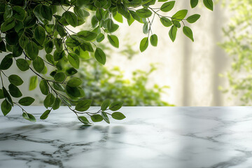 Wall Mural - white marble table top with a blurred abstract background of a window and green leaves for a product