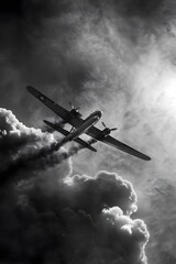 Wall Mural - military plane falls down full of smoke